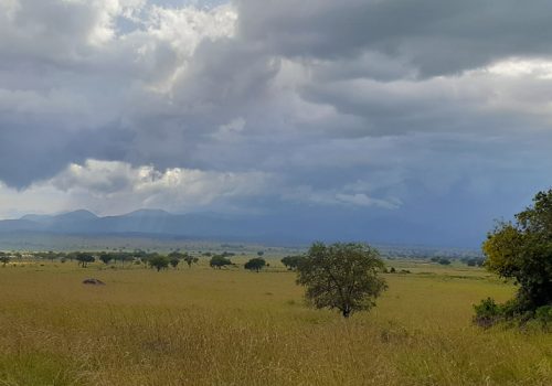 Kidepo Valley National Park