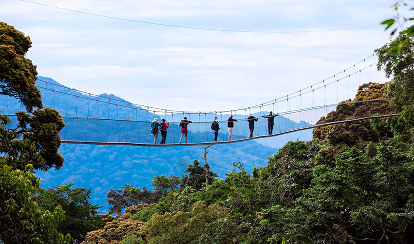 4 Days Nyungwe Forest Experience