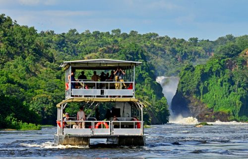10-day-pearl-of-africa-and-rwanda-adventure-safari