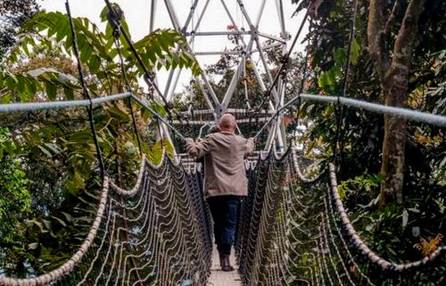 28-day-astonishing-rwanda-and-uganda-adventure-safari