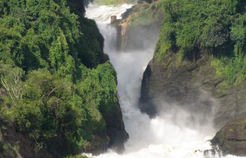 4 Days Murchison Falls National Park Safari