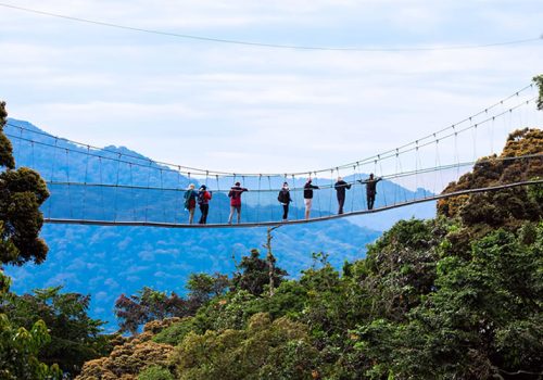 4 Days Nyungwe Forest Experience